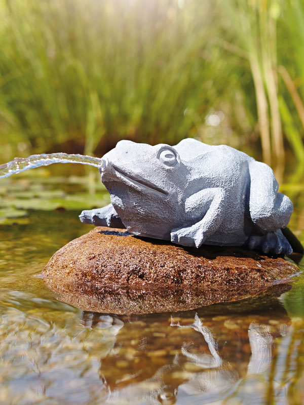 Wasserspeier Frosch